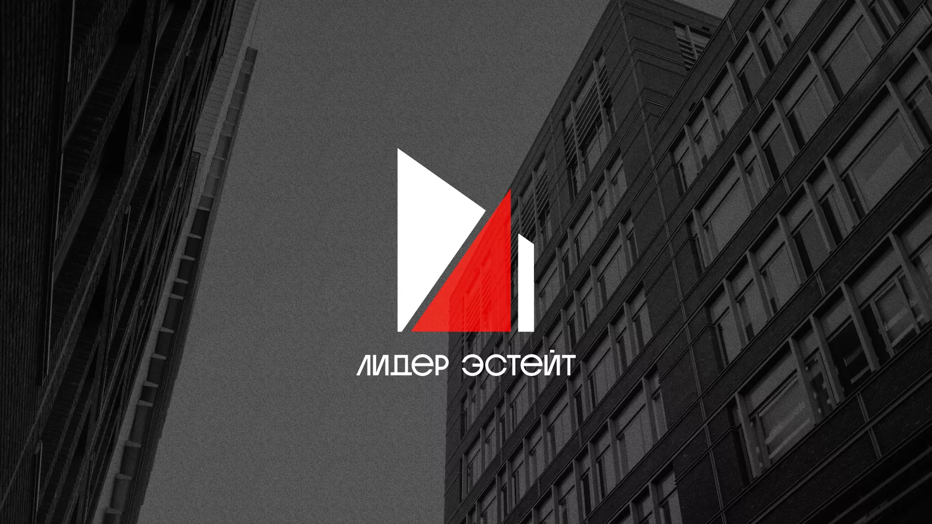 Сделали логотип для агентства недвижимости «Лидер Эстейт» в Нарьян-Маре